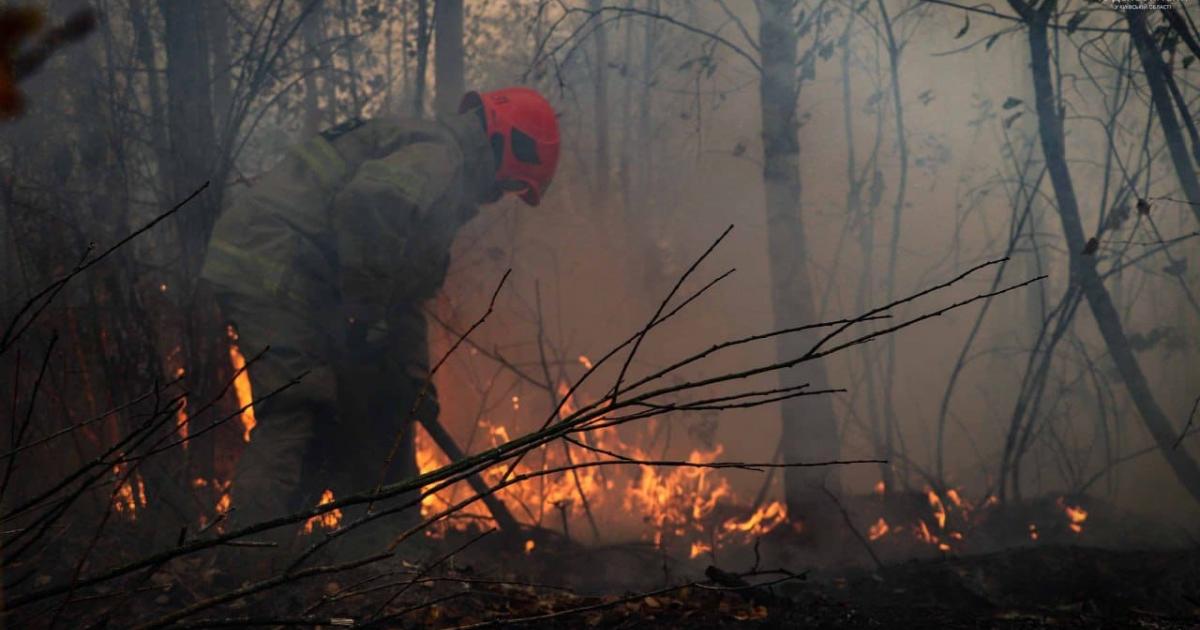В Ірпінській громаді сталася масштабна пожежа: горів трав’яний настил ...