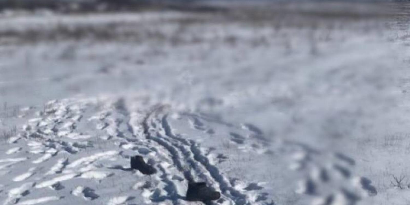 Побив і задушив товариша: поліція Київщини затримала 25-річного чоловіка