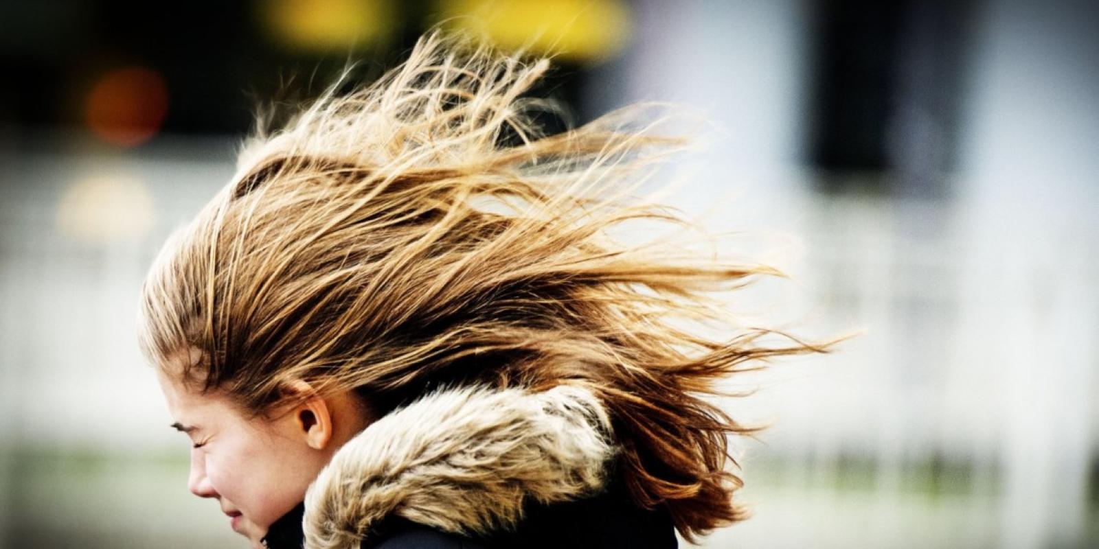 Жителів Київщини попереджають про сильні пориви вітру