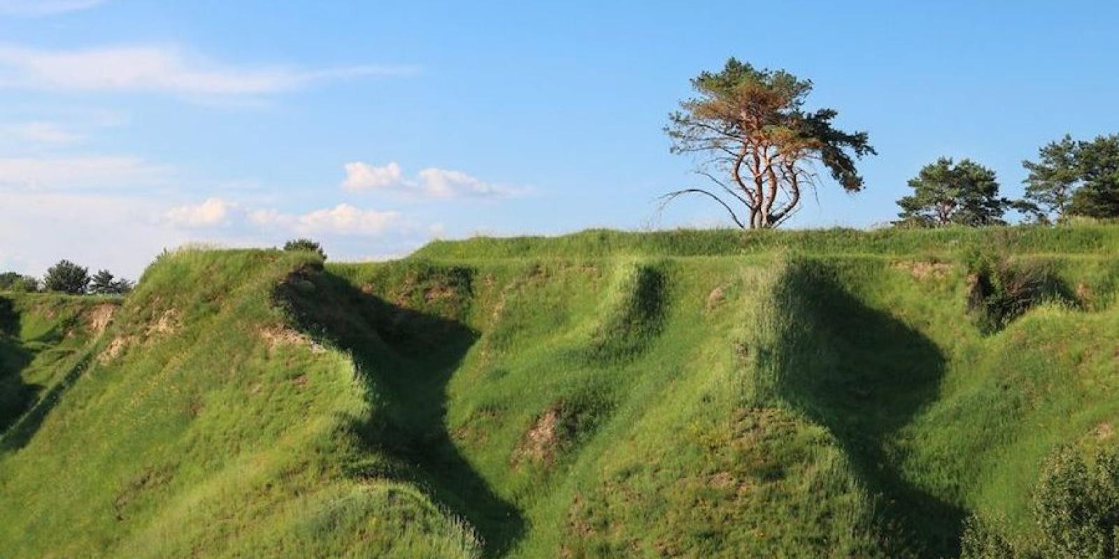 Еко-скандал на Київщині: поруч із культовим урочищем будуватимуть асфальтний завод