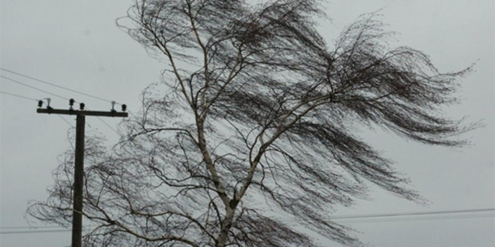 В Київській області погіршиться погода: оголошено жовтий рівень небезпеки