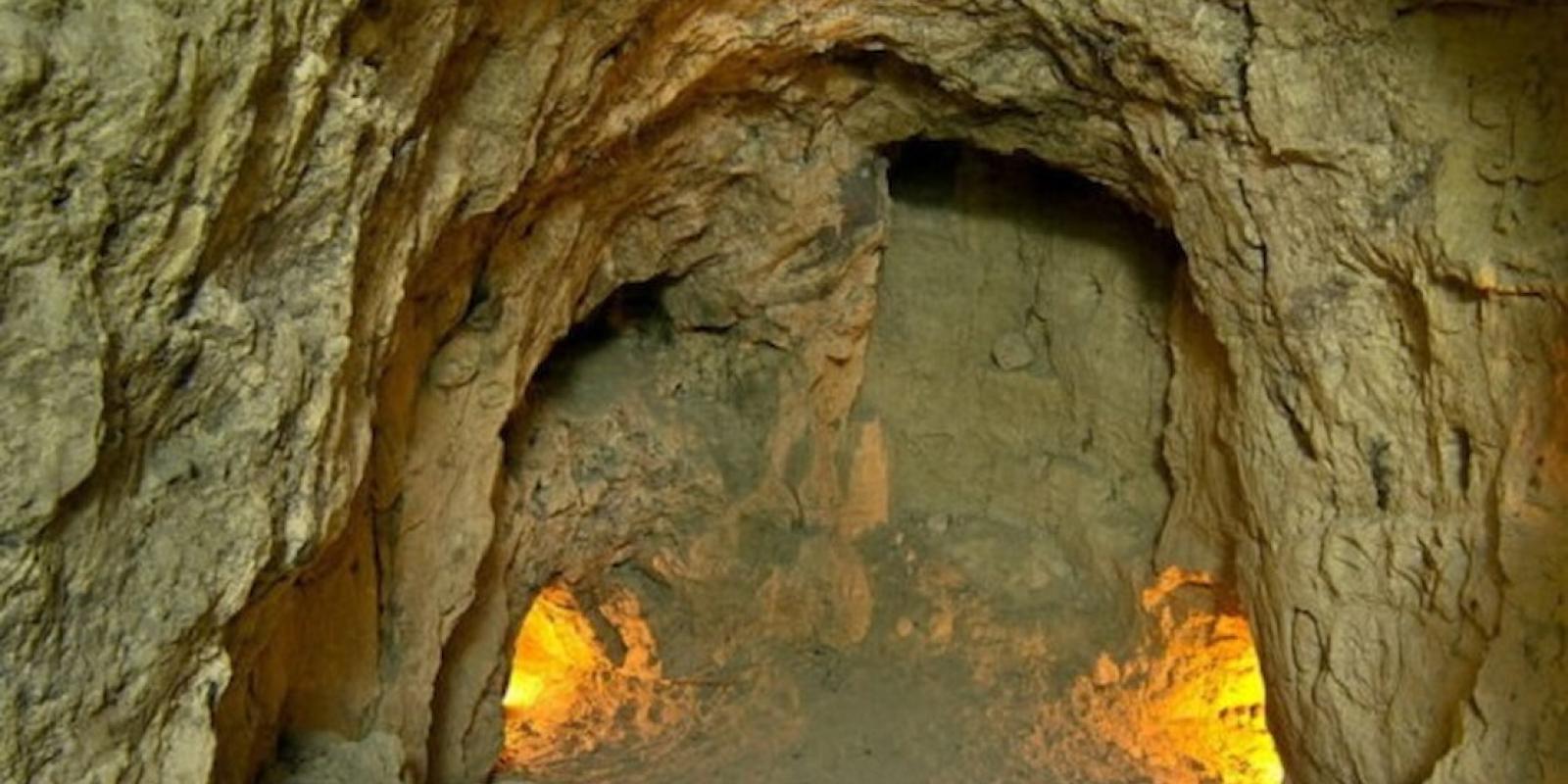 Рейдери вкрали на Обухівщині 88 га лісу та печеру Геонавт