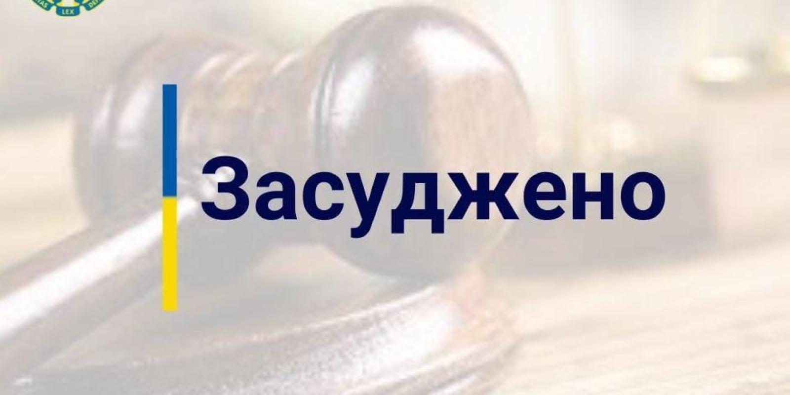 Забив до смерті рідну матір – мешканця Київщини засуджено до 10 років позбавлення волі