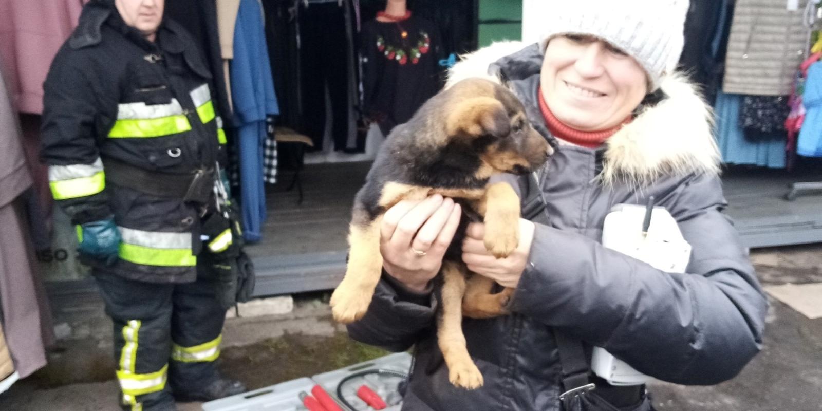 На ринку в Рокитному рятувальники врятували цуценя (ФОТО) На ринку в Рокитному рятувальники врятували цуценя (ФОТО)