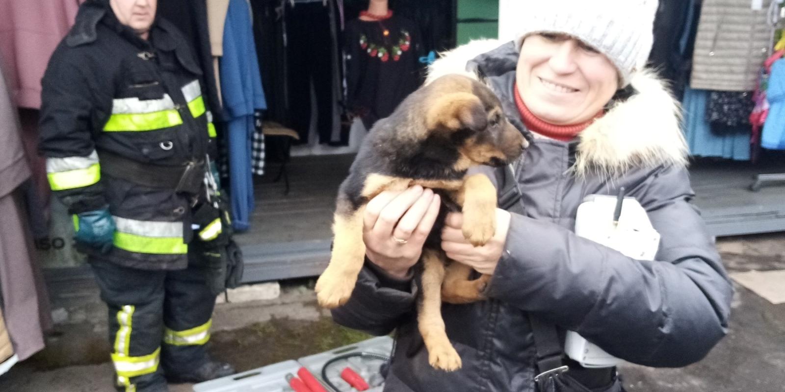 На ринку в Рокитному рятувальники врятували цуценя (ФОТО)