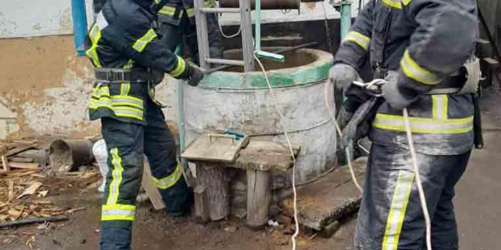 На Київщині врятували кота, який упав у криницю 