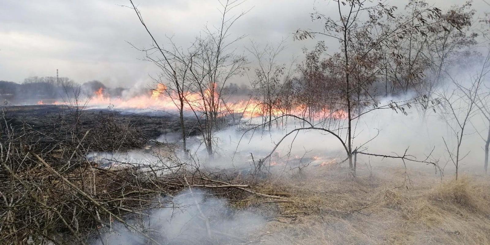 19 пожеж за 2 дні: рятувальники Київщини закликають бути обачним з вогнем біля лісів та полів
