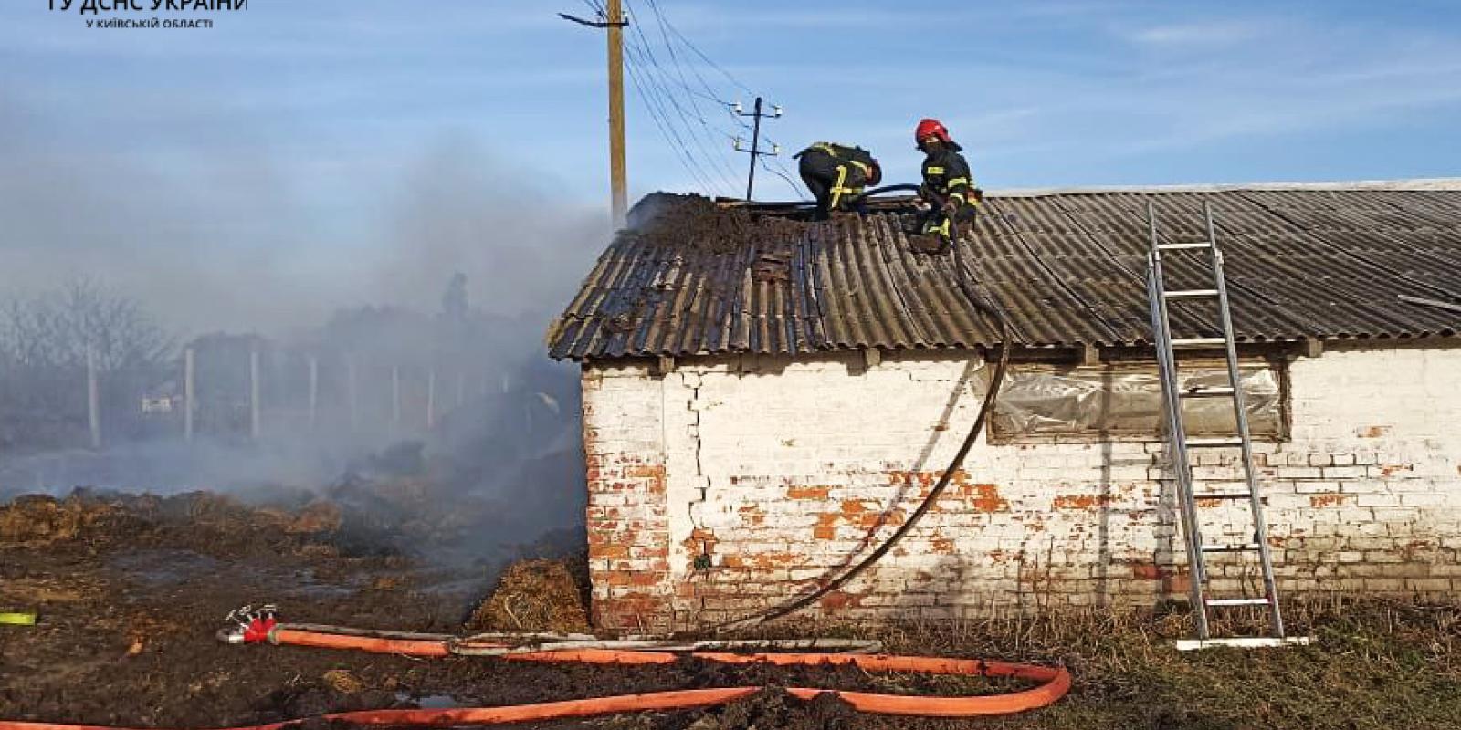 В селі на Київщині загорівся свинарник: причина пожежі встановлюється