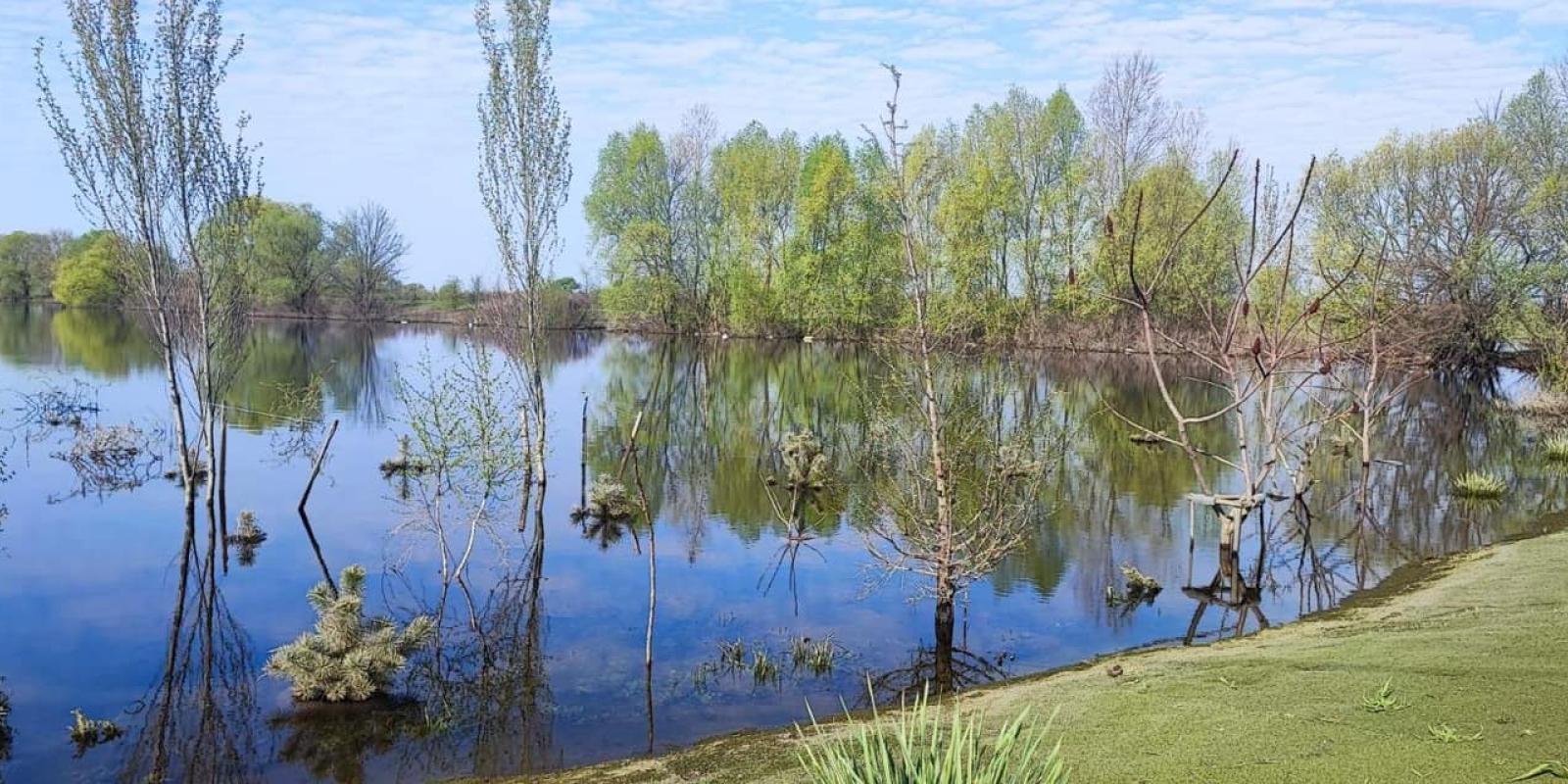 Велика вода йде на спад: в селах на Київщині зменшується рівень підтоплення