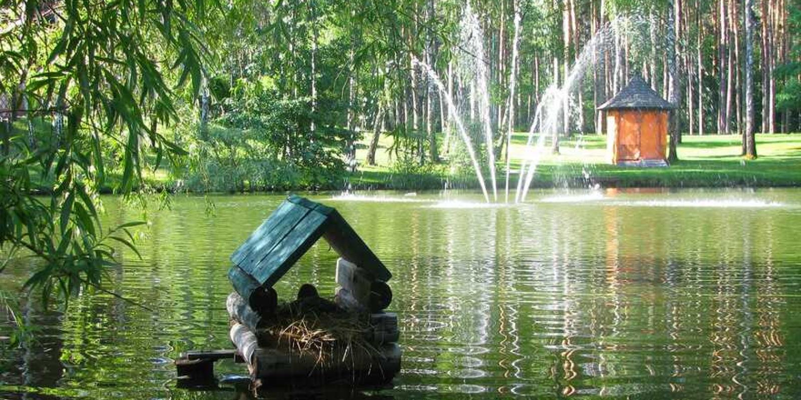 Під Києвом привласнили землі національного парку 