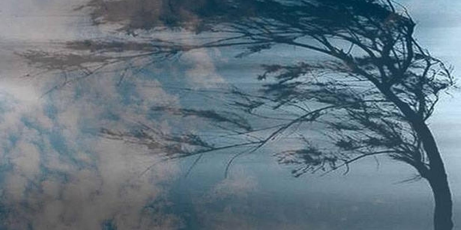 На Київщині прогнозують сильний вітер 