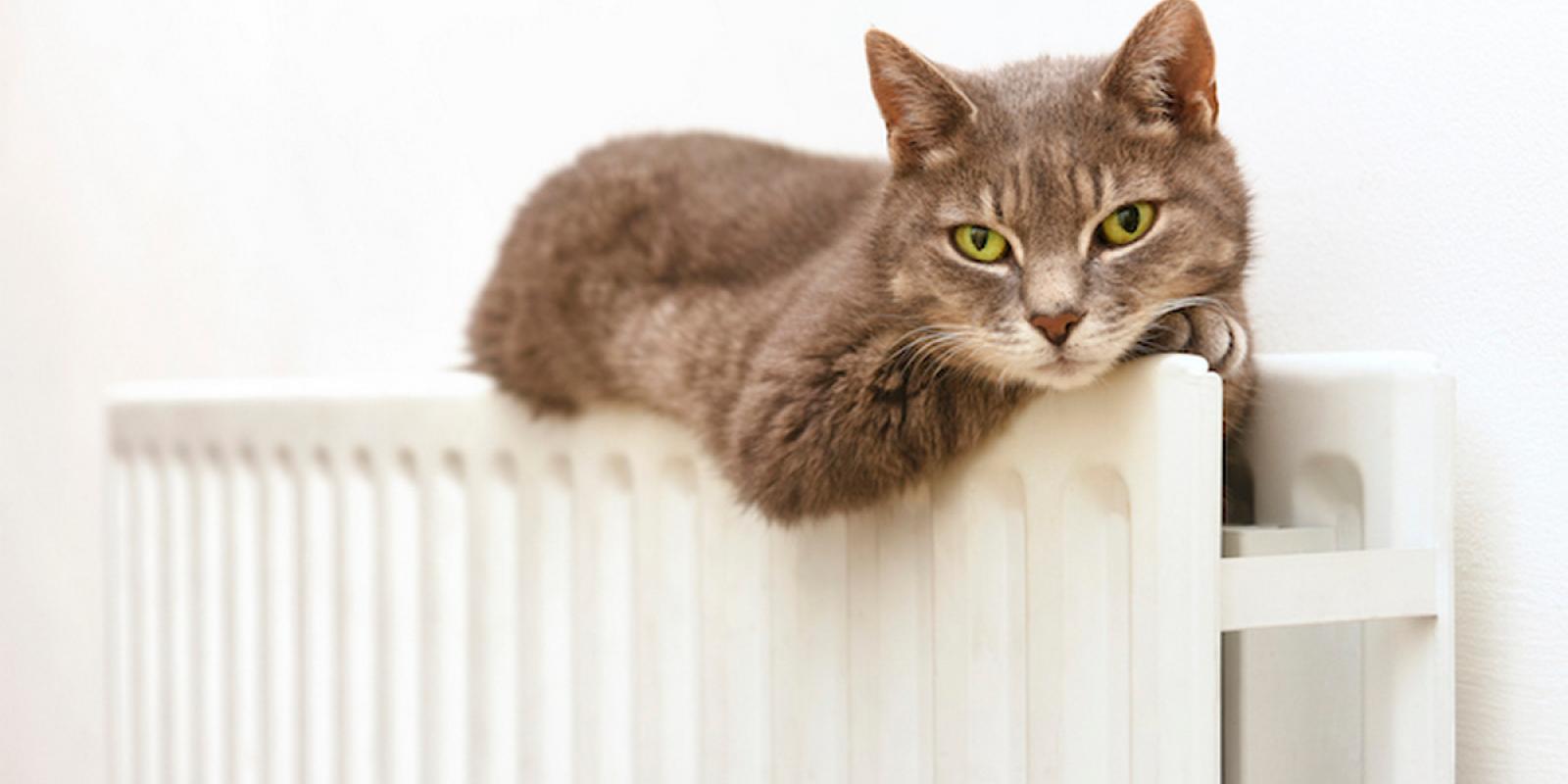 В Обухові розпочався опалювальний сезон