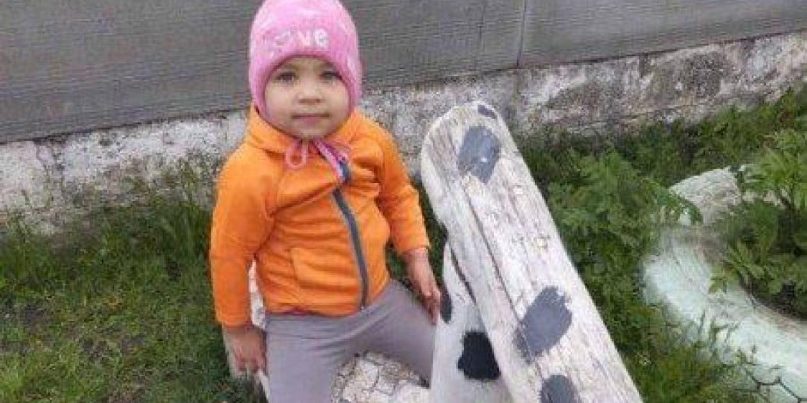 Дворічну Віолетту вже другу добу шукають на Харківщині: що відомо, як допомогти Дворічну Віолетту вже другу добу шукають на Харківщині: що відомо, як допомогти