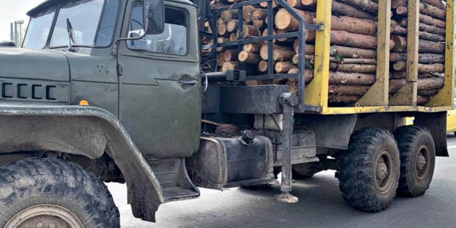 Перевозив деревину з підробленими документами: у Борисполі затримали порушника 