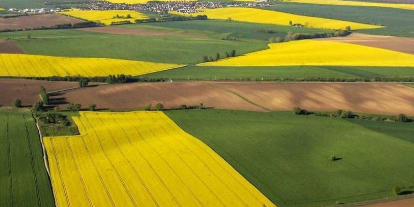 Незаконно заволоділи земельними ділянками на понад 5,7 млн грн: на Київщині судитимуть спільників Незаконно заволоділи земельними ділянками на понад 5,7 млн грн: на Київщині судитимуть спільників