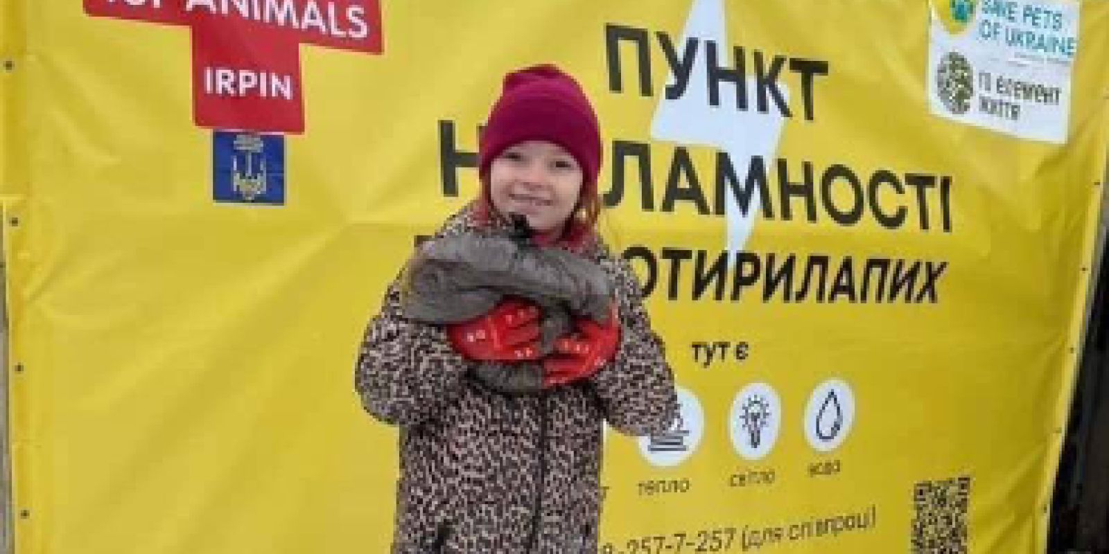 Сьогодні в Ірпені можна отримати корм для тварин: деталі 