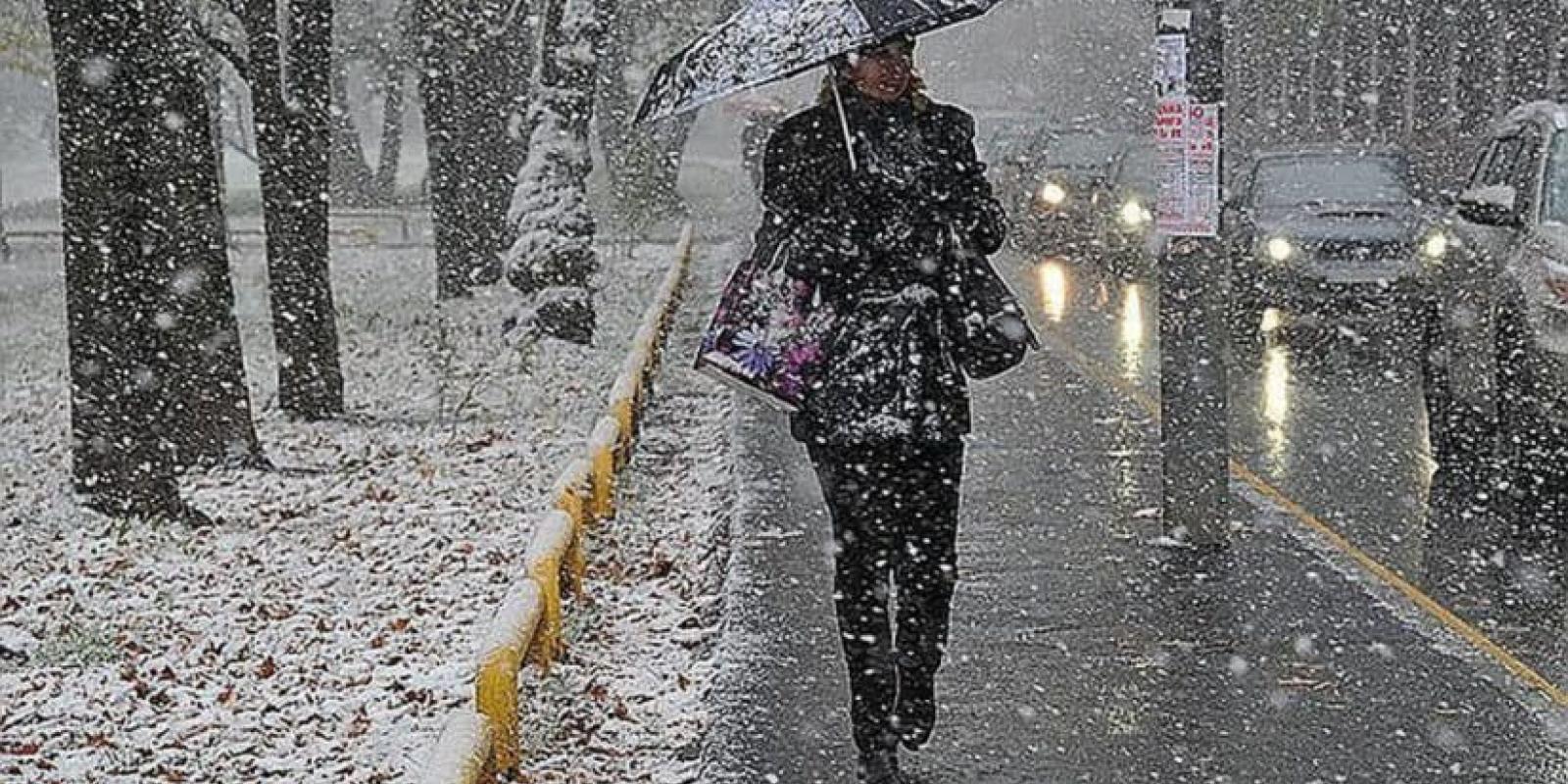 Мокрий сніг та сильний вітер: на Київщині продовжиться негода