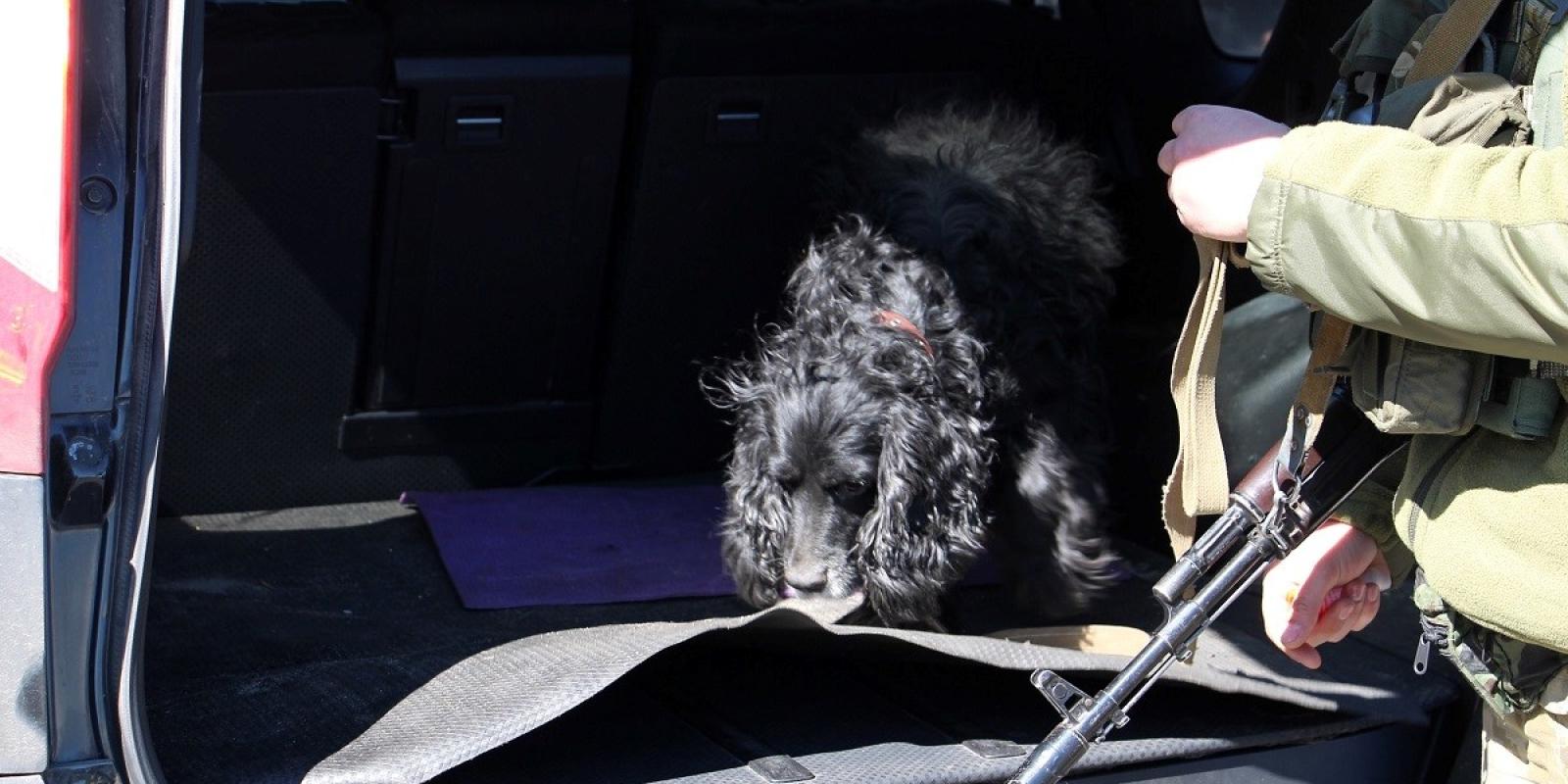 Прямували до столиці з наркотиками: прикордонники Київщини затримали трьох чоловіків