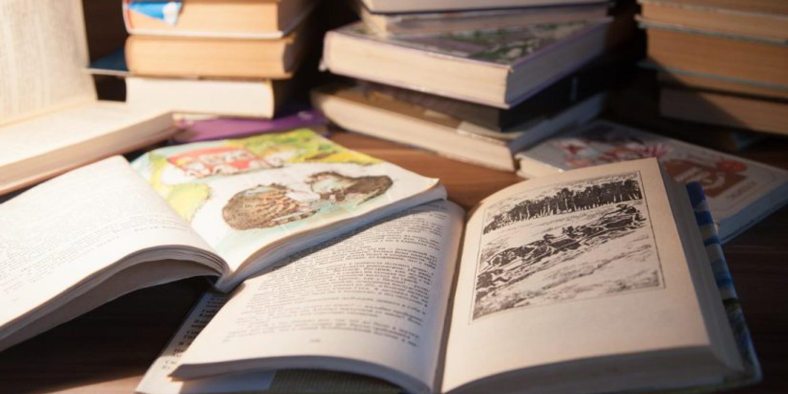 Відкрито збір коштів на відновлення шкільних бібліотек Київщини