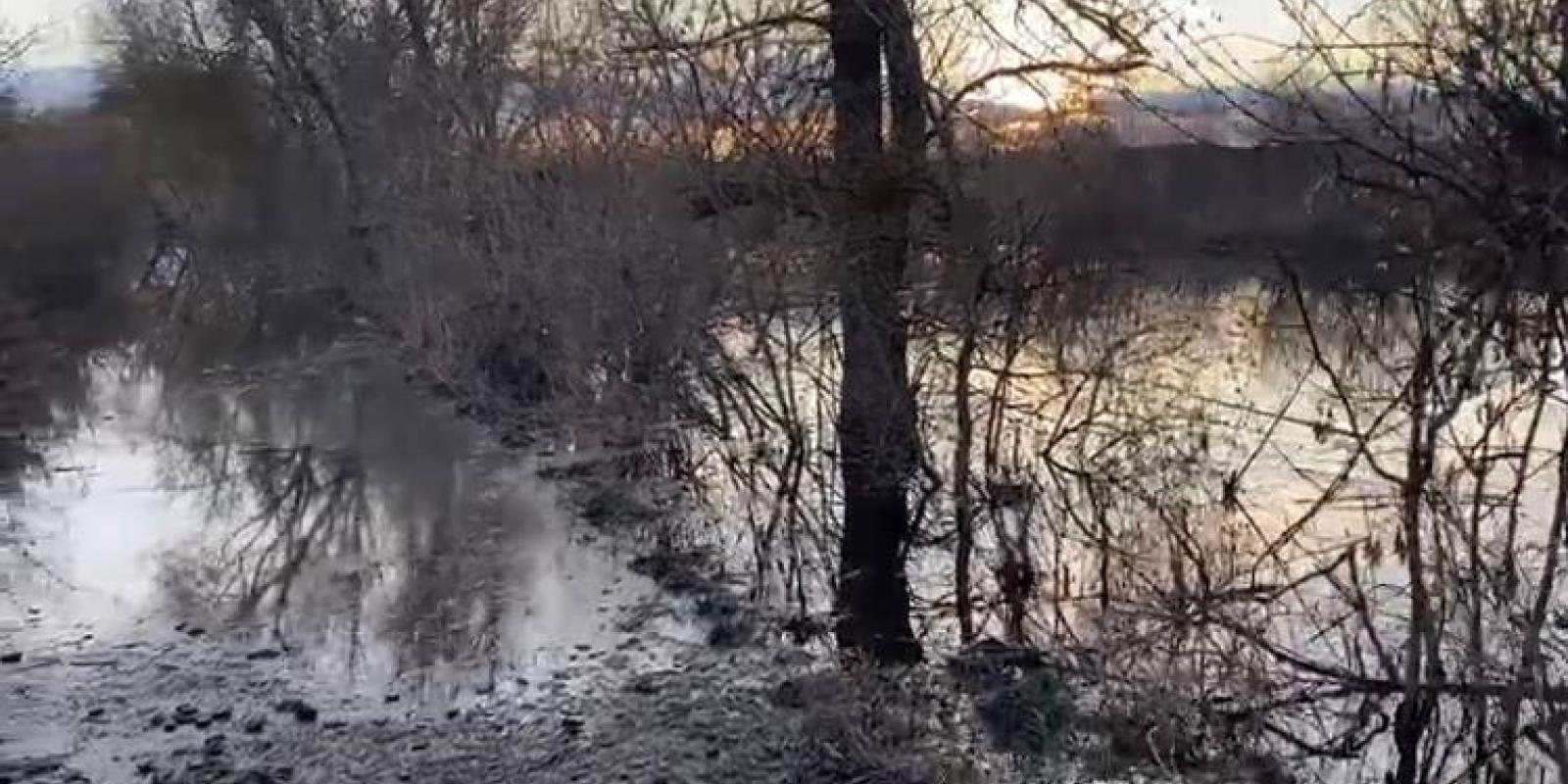 На Київщині через ремонт мосту затопило дорогу та житлові будинки На Київщині через ремонт мосту затопило дорогу та житлові будинки