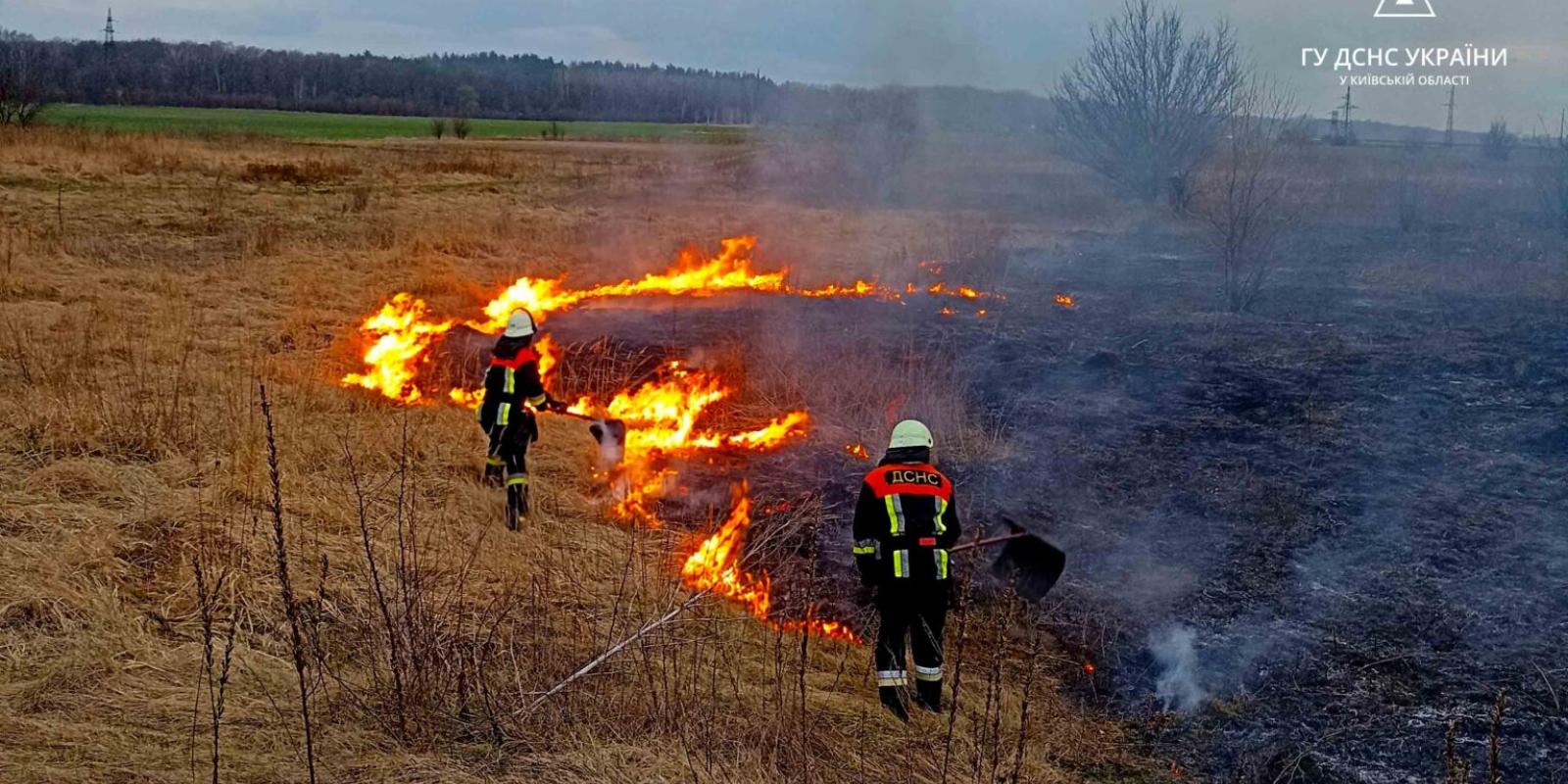 У Київській області пожежа на полі: загорівся трав’яний настил