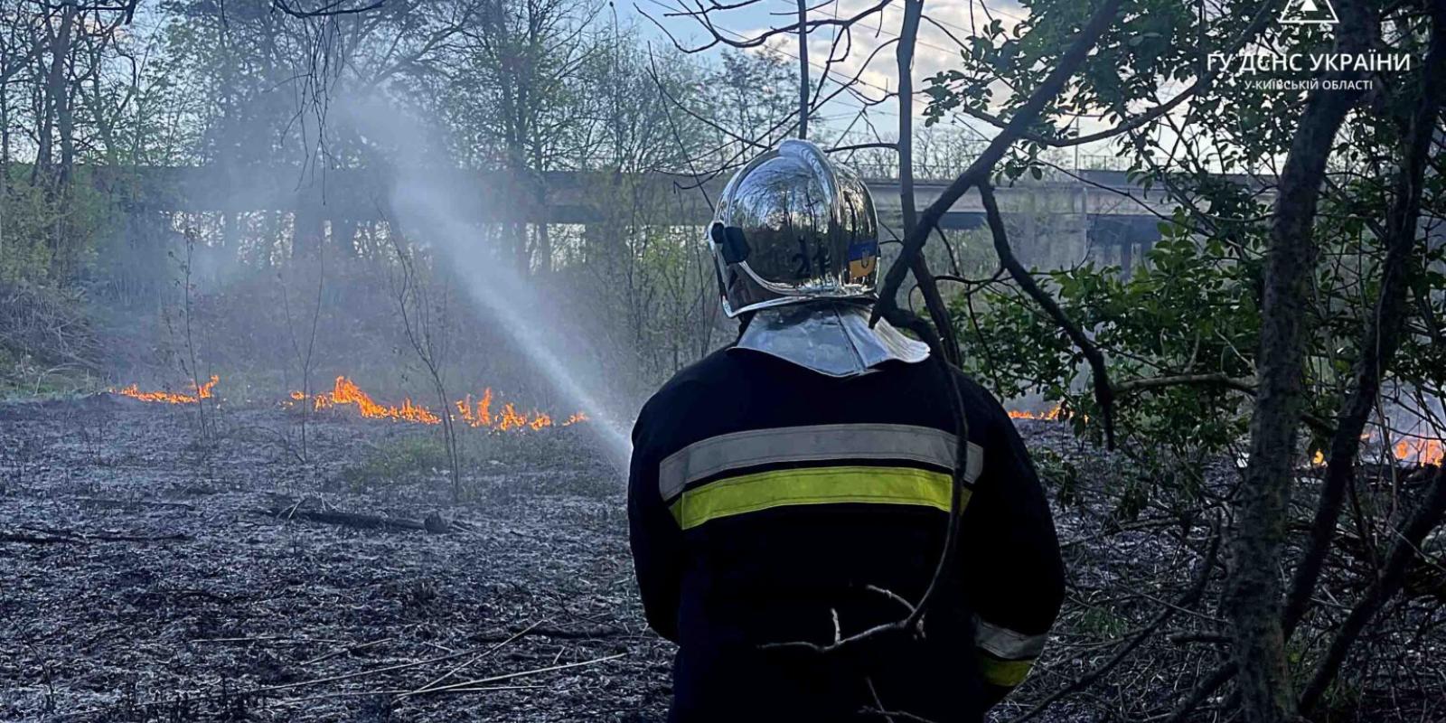 Пожежа у Броварському районі: загорівся трав’яний настил