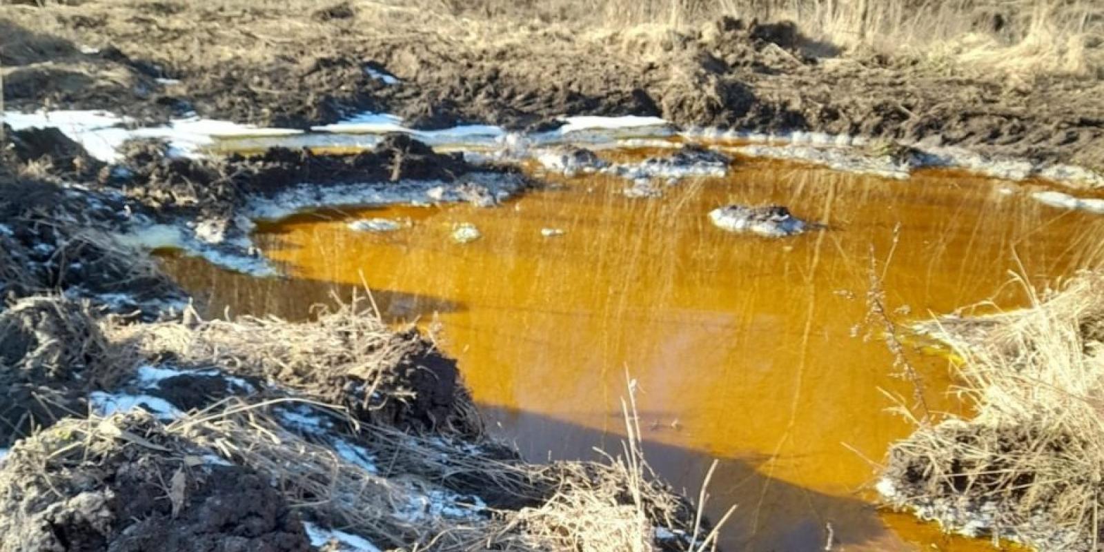 У Миронівці з’явилися “жовті озера” з відходів агровиробництва