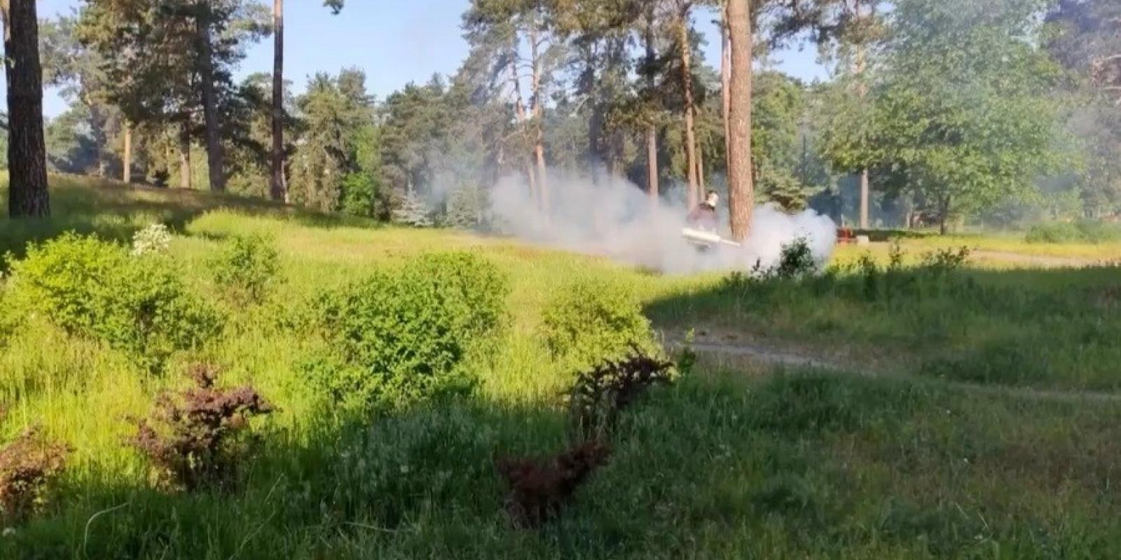 Цього тижня в столиці небезпечно гуляти в парках: причина Цього тижня в столиці небезпечно гуляти в парках: причина