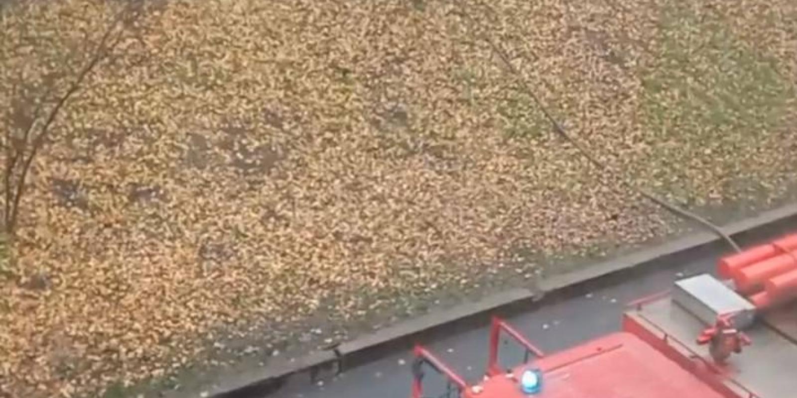 Пожежа у Броварах: жінка посеред вулиці розвела багаття 