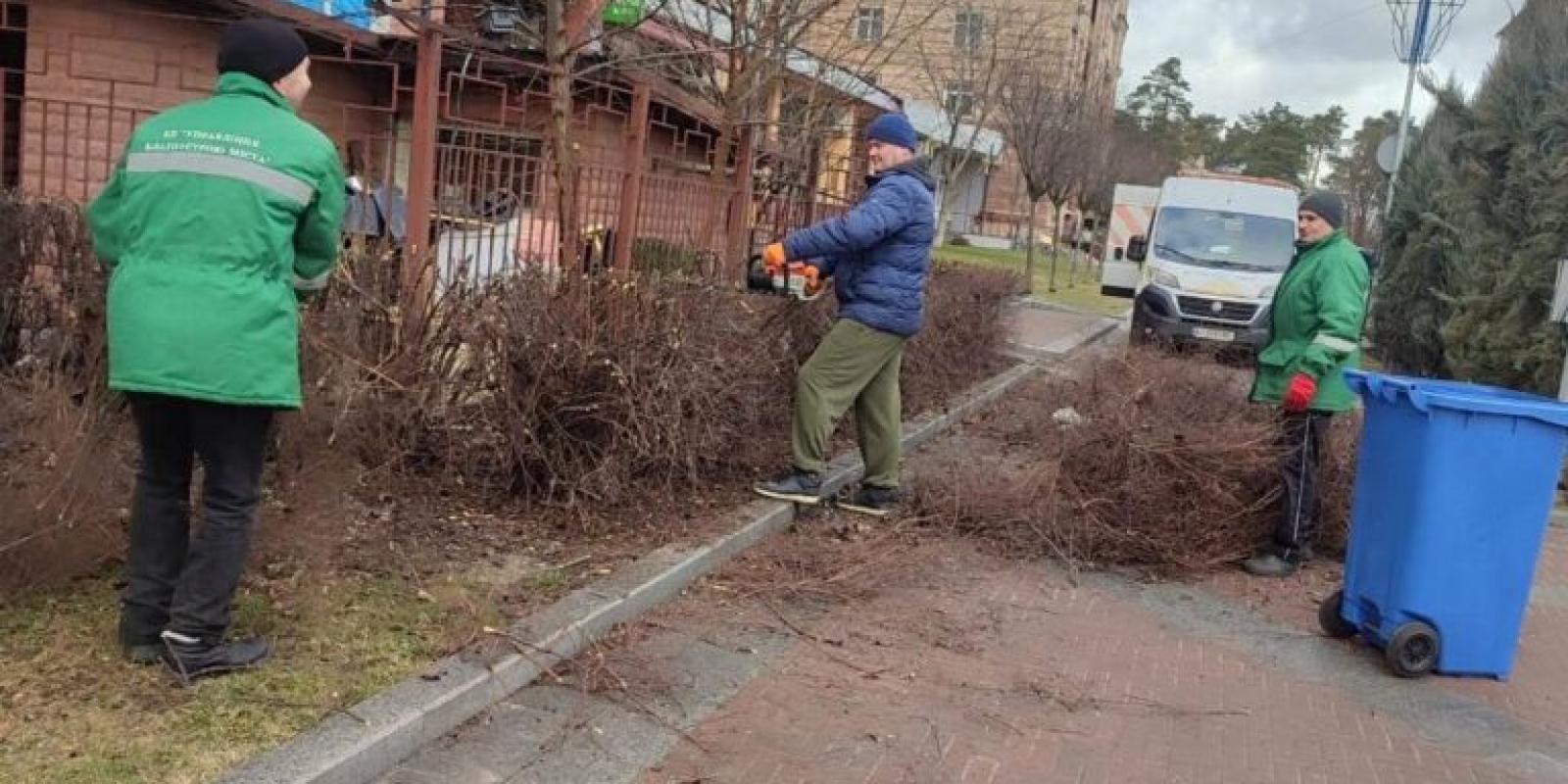 В Ірпені розпочали сезонну обрізку дерев та кущів