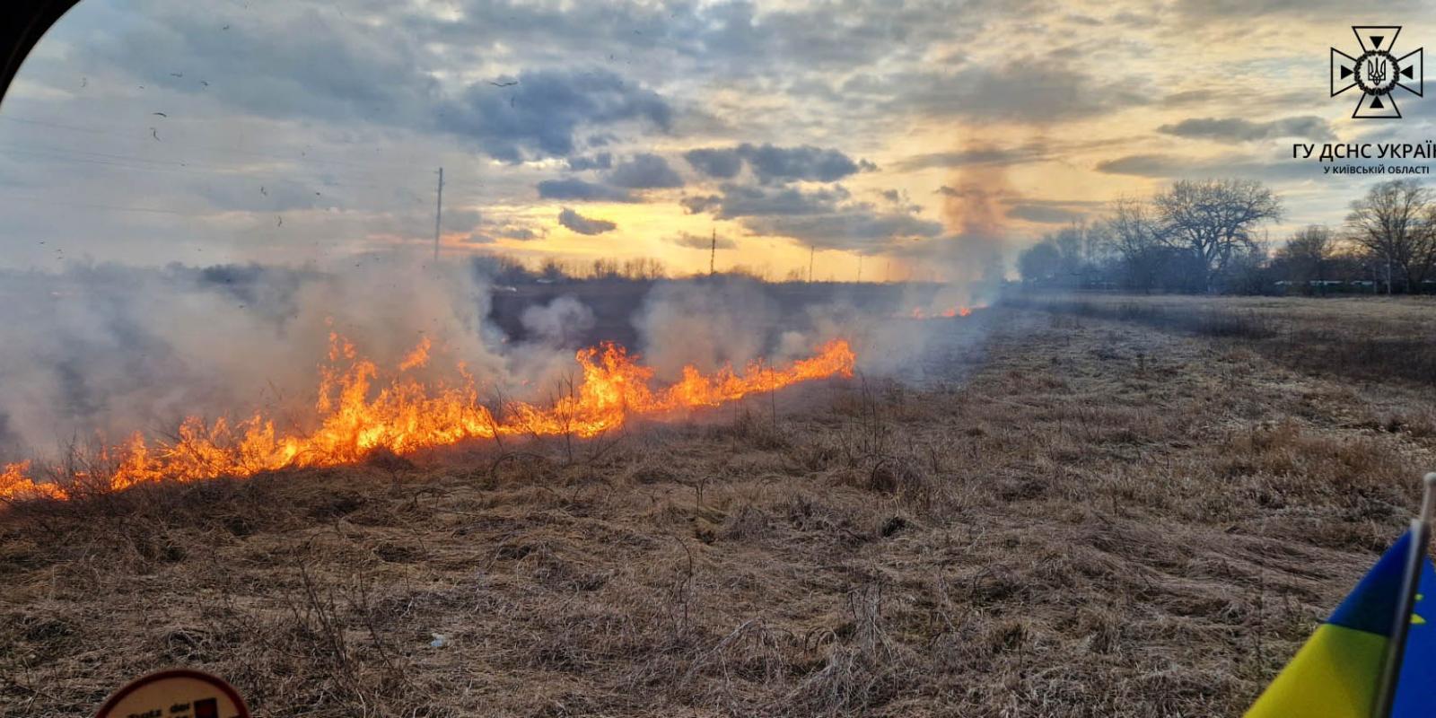 Пожежа на Київщині: у Броварському районі загорілось поле