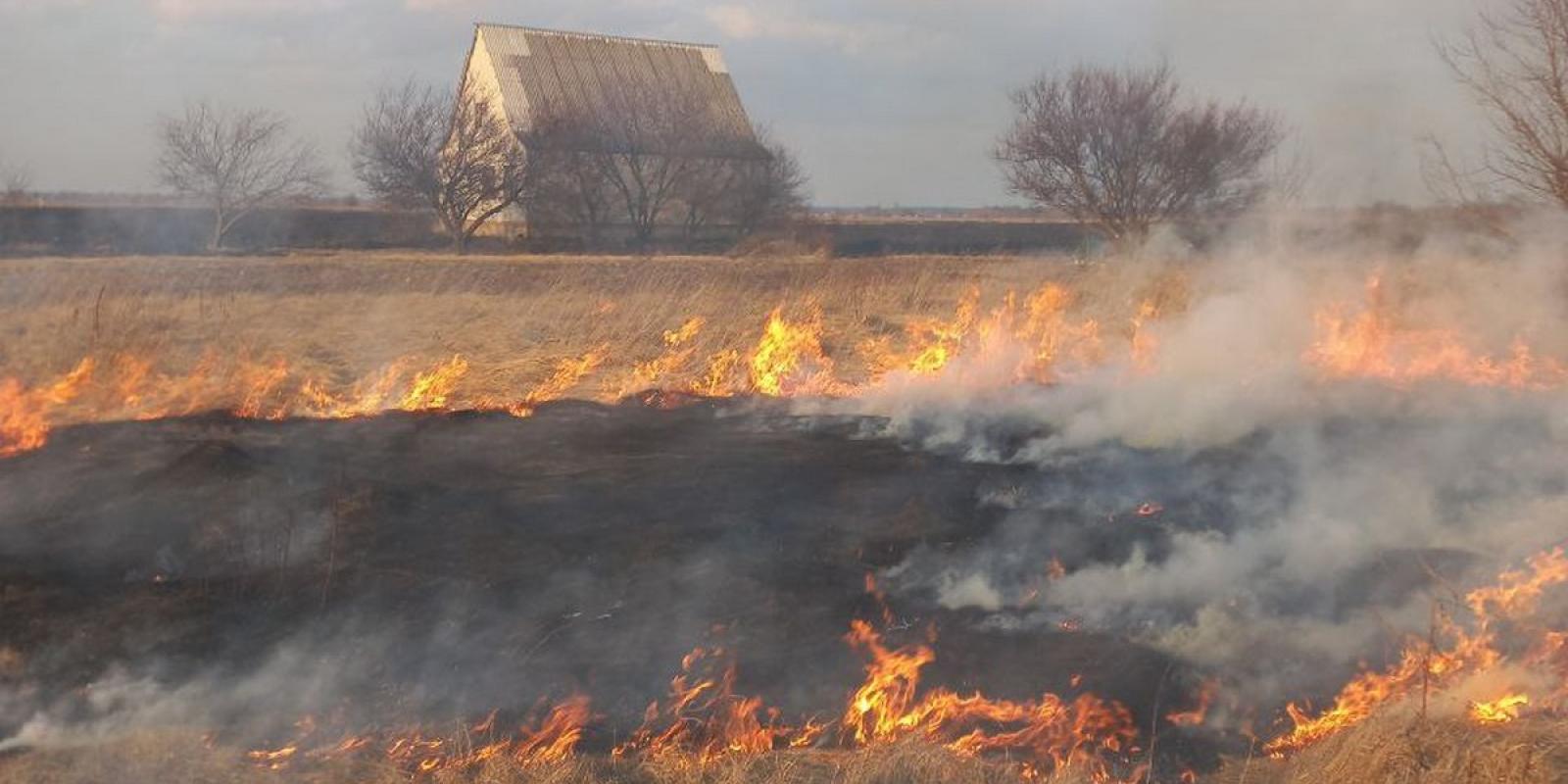 Пожежа на площі понад 2 гектари: у Переяславі загорілась суха трава