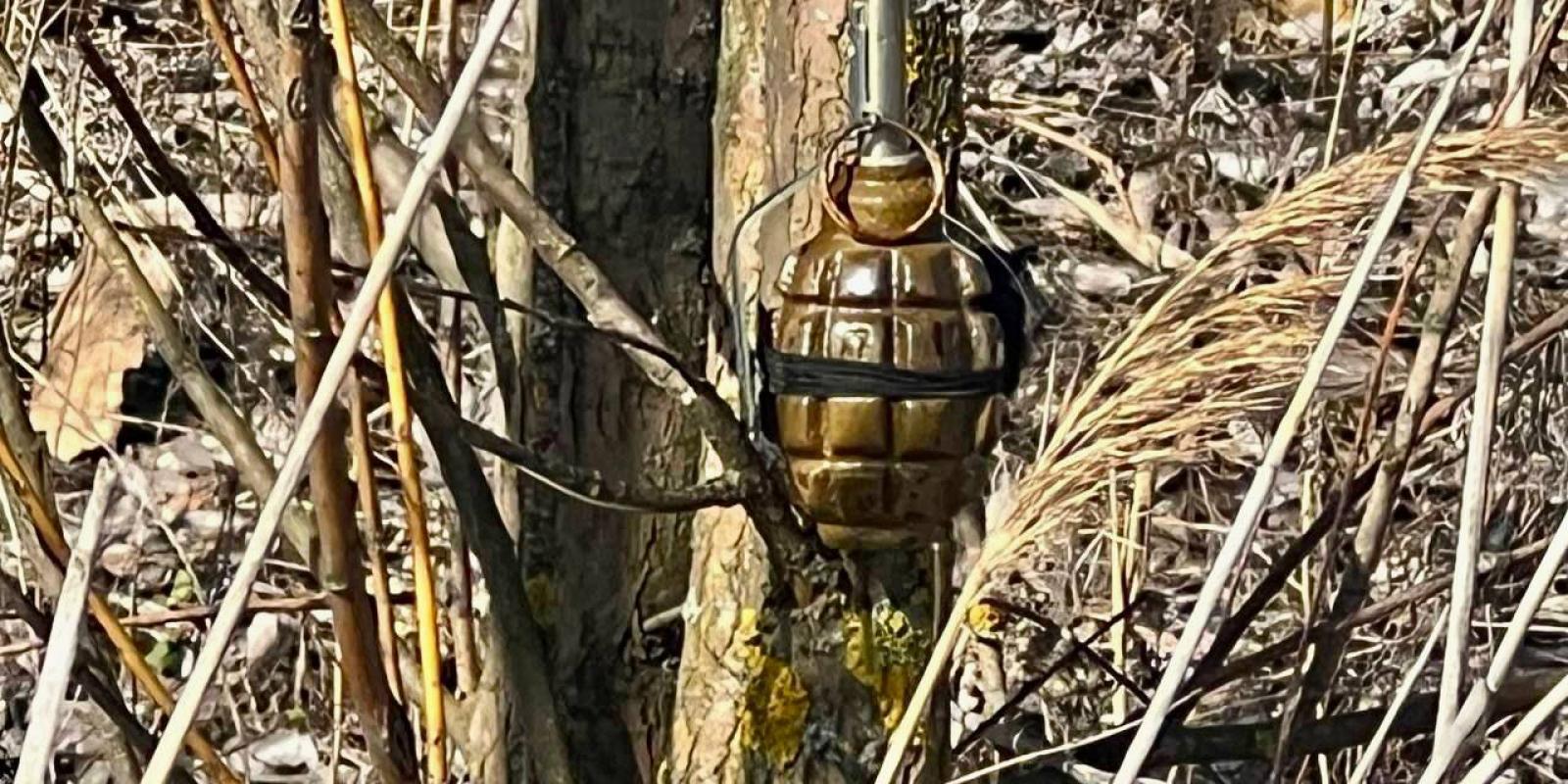 В полі на Київщині місцеві жителі знайшли бойові гранати