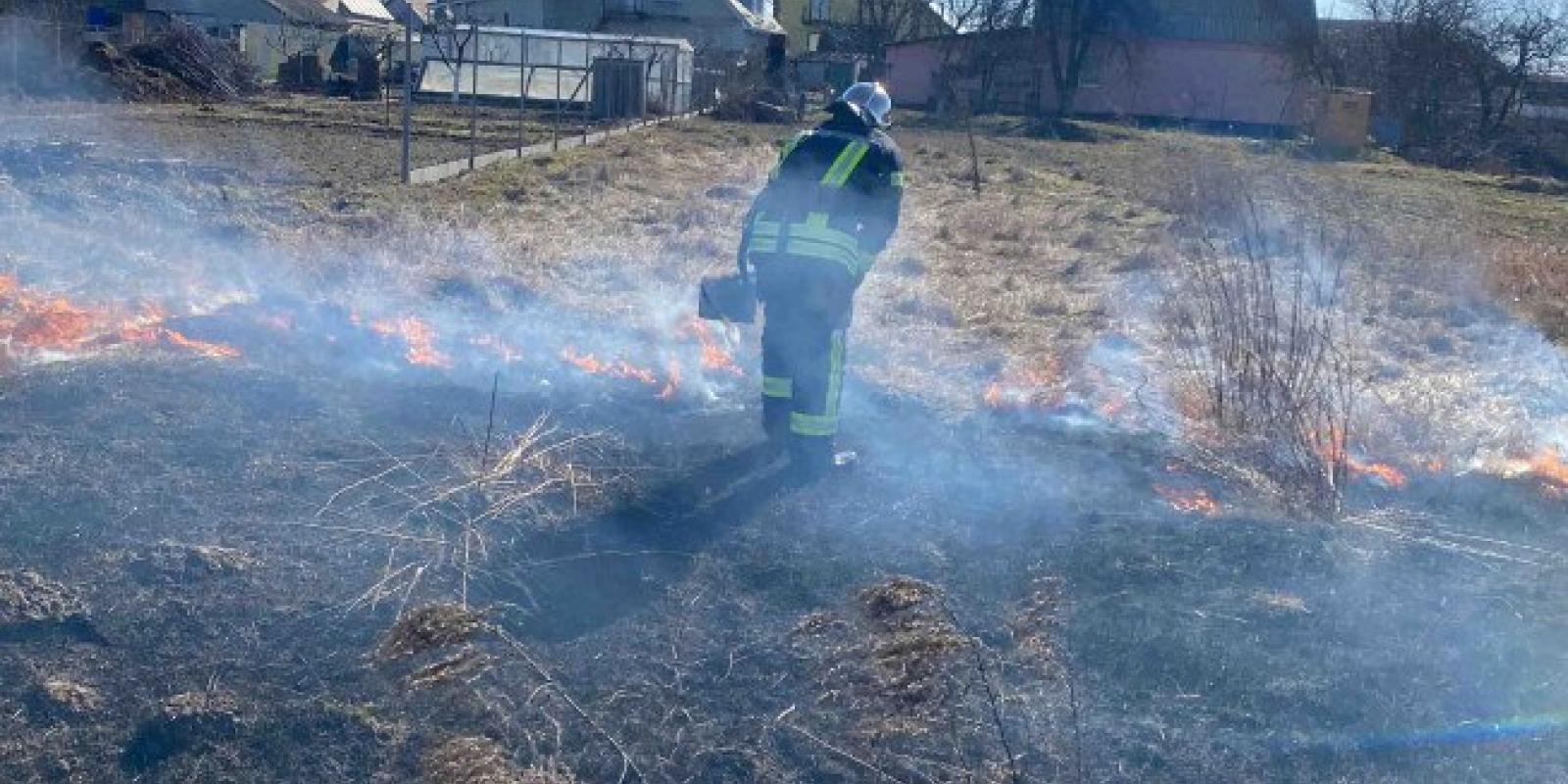 Вогонь уже підходив до будинків: у селі на Київщині знову загорілася трава