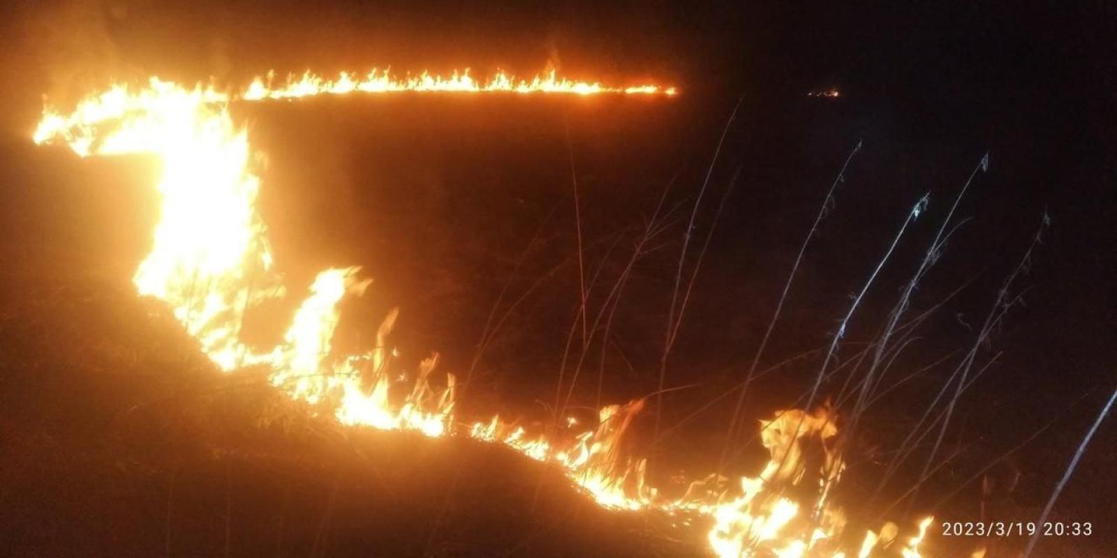 На Київщині біля заводу загорілось півгектара трав'яного настилу На Київщині біля заводу загорілось півгектара трав'яного настилу