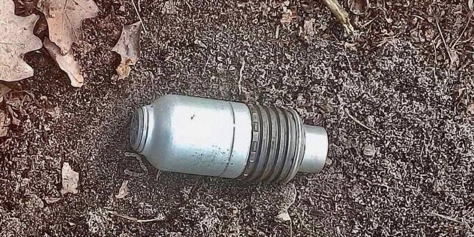 На Київщині собака знайшов в лісі гранату