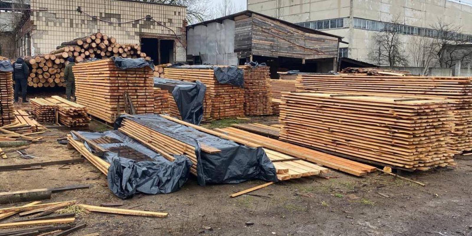 Збитків на 4 мільйони гривень: на Київщині викрито масштабну схему нелегальної вирубки і збуту деревини Збитків на 4 мільйони гривень: на Київщині викрито масштабну схему нелегальної вирубки і збуту деревини