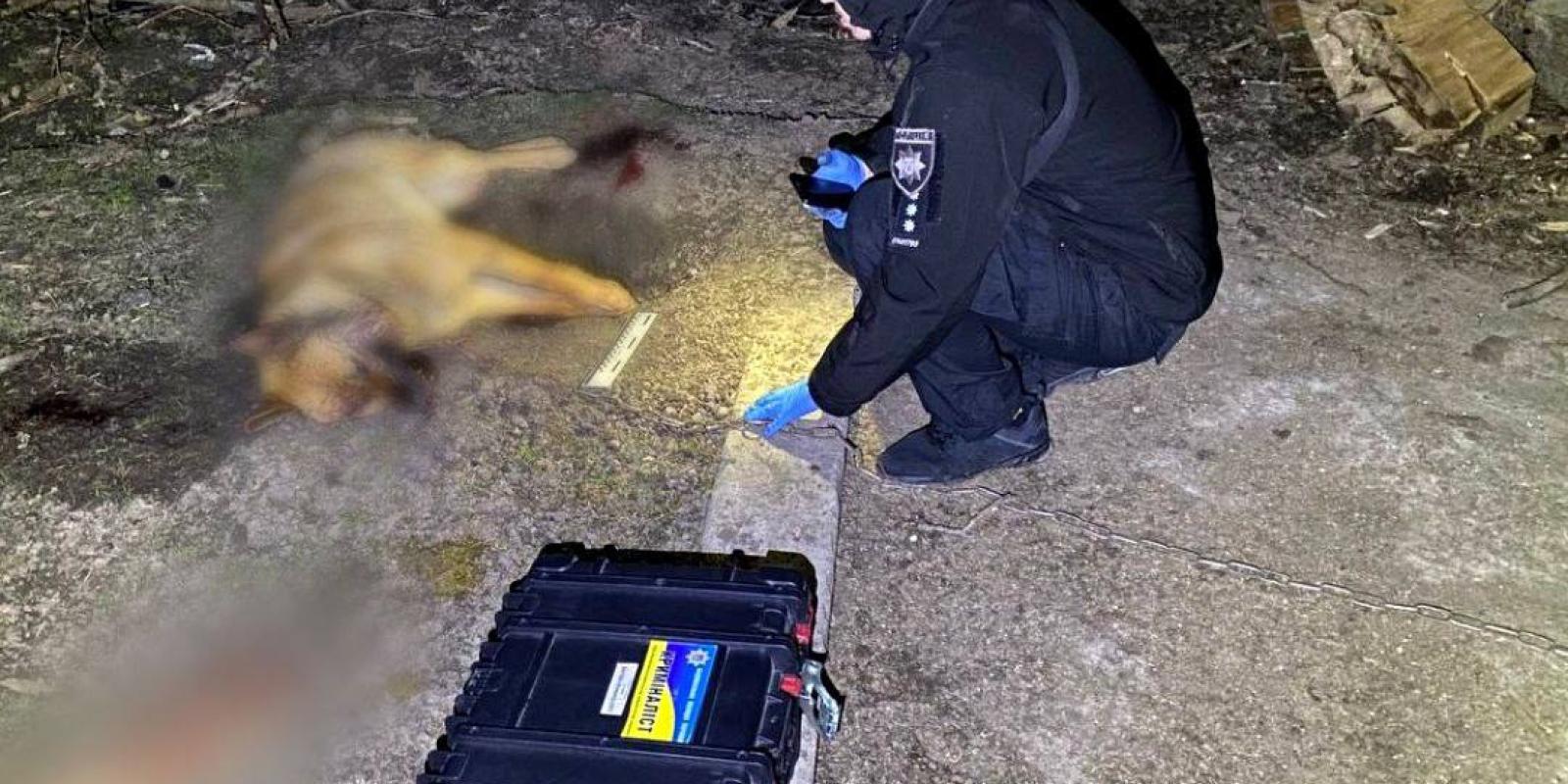 На Білоцерківщині чоловік дерев'яною палицею забив до смерті собаку 