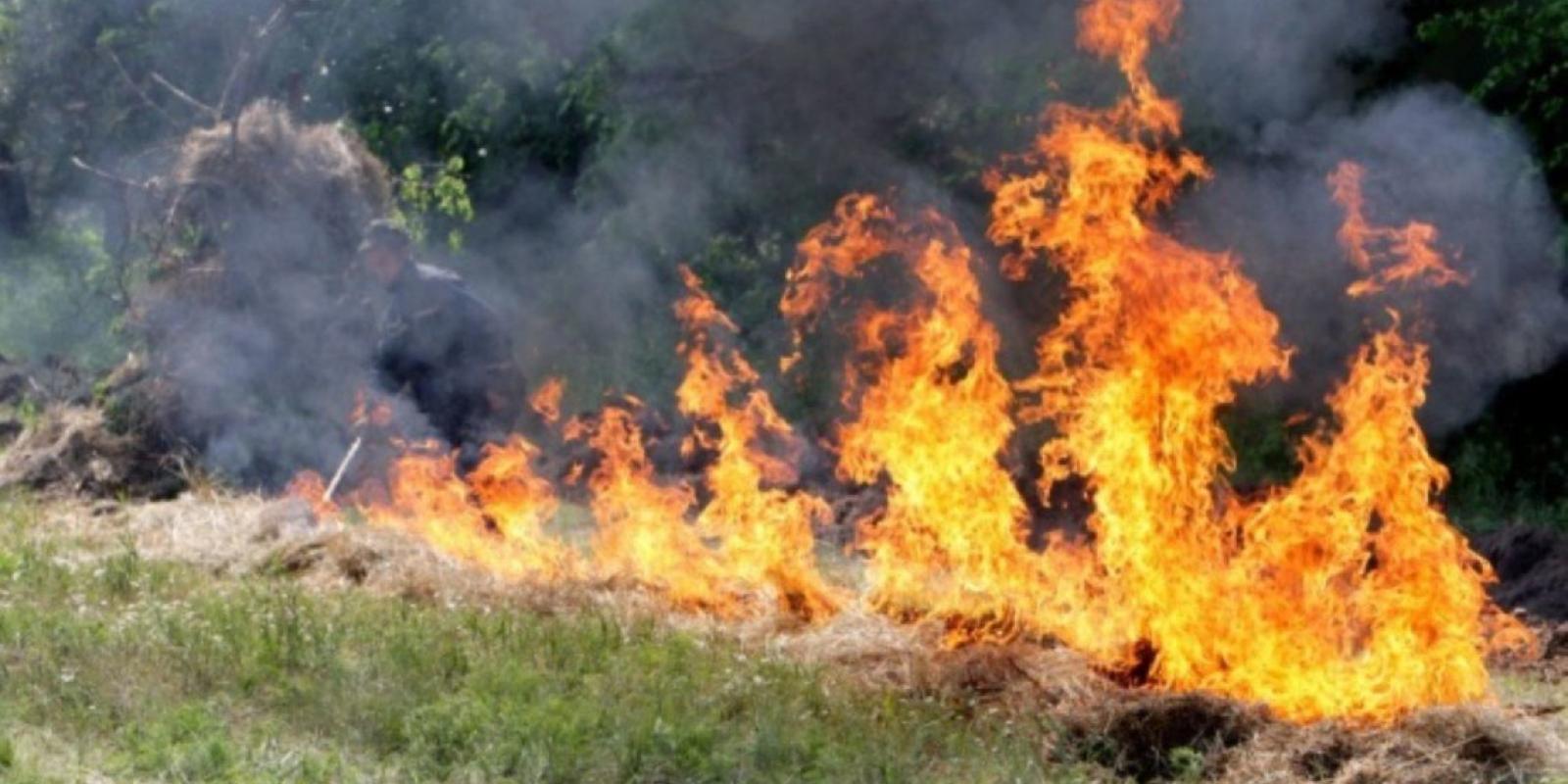 На Київщині до 17 травня спостерігатиметься надзвичайний рівень пожежної небезпеки