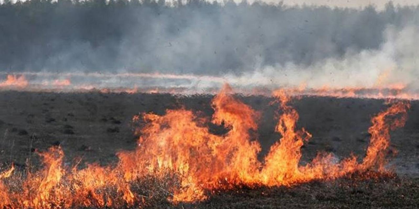 На Київщині масштабна пожежа: на місці працює ДСНС
