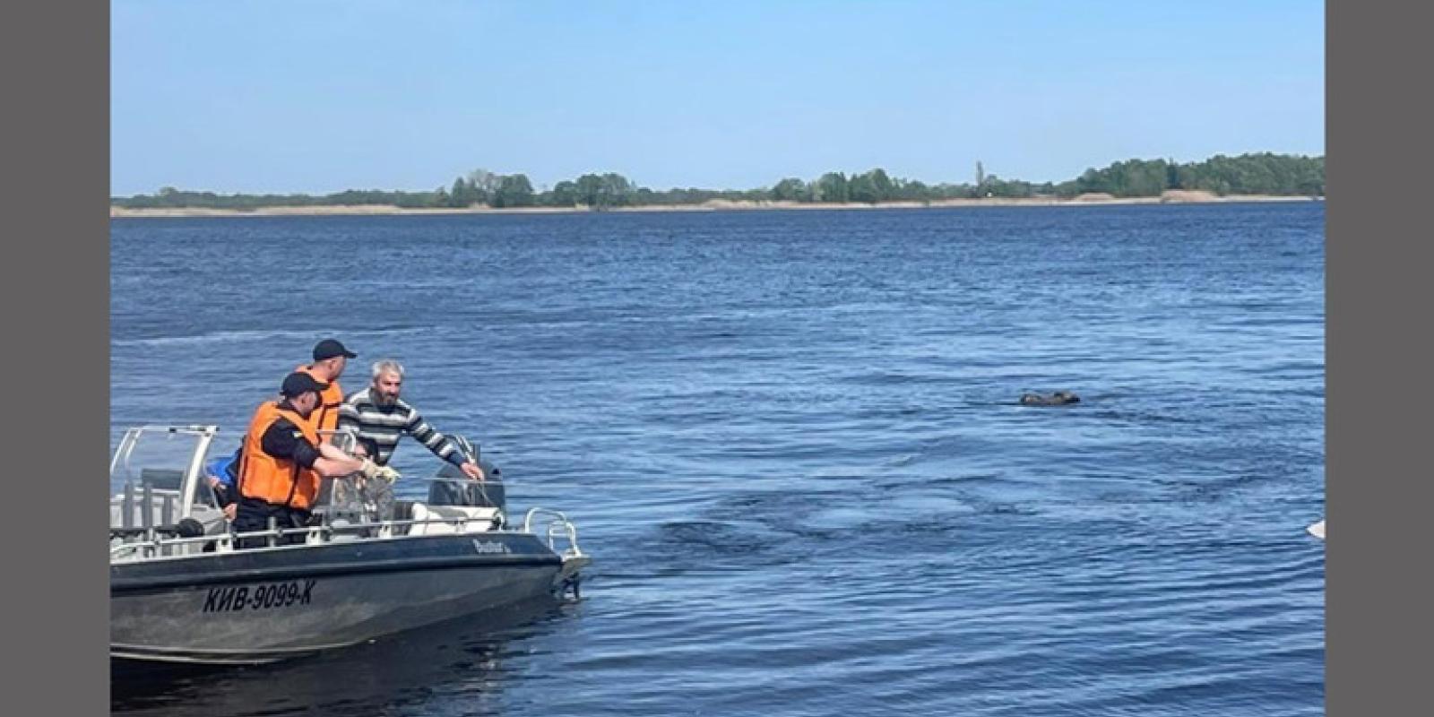 Пішов рибалити на Дніпро і не повернувся: на Київщині потонув чоловік